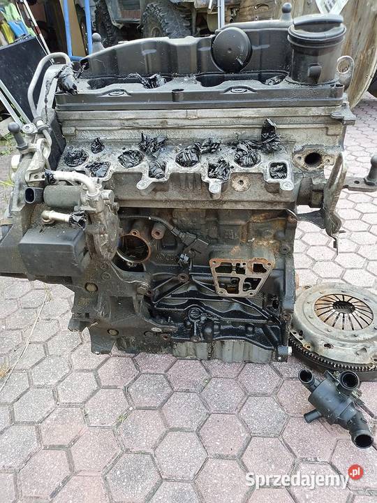 Silnik 16 TDi CAYC 105 2011 Gwarancja Żary