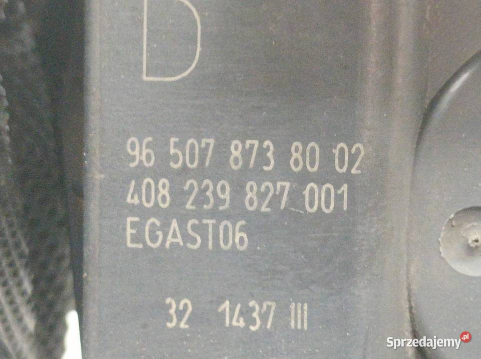 PRZEPUSTNICA 9650787380 20 16V Peugeot 407 I
