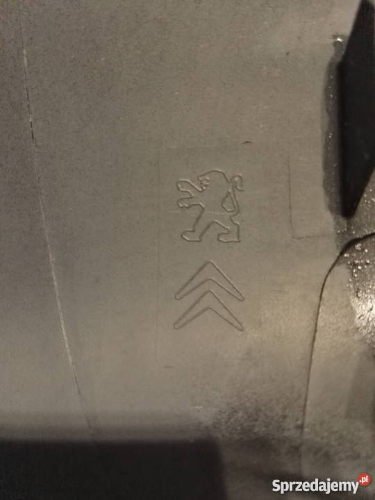 CITROEN C3 PRAWA OBUDOWA LUSTERKA 09 ORYG Międzychód