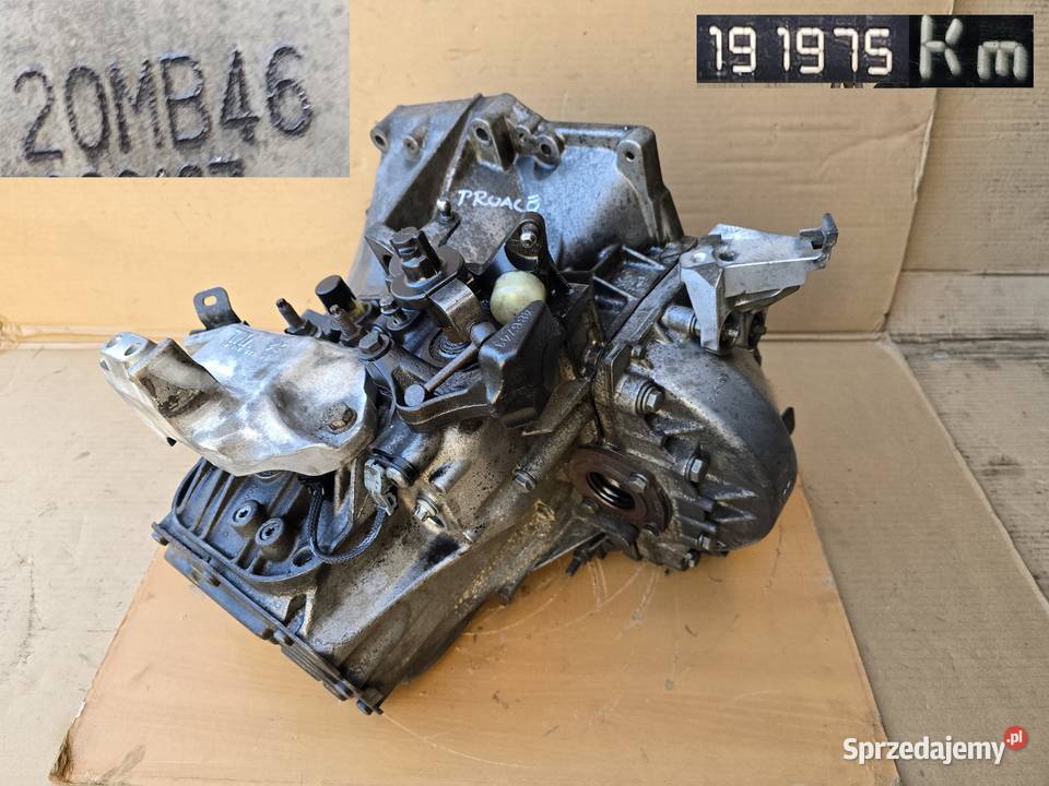 Toyota Proace Jumpy Spacetourer expert scudo osobowe