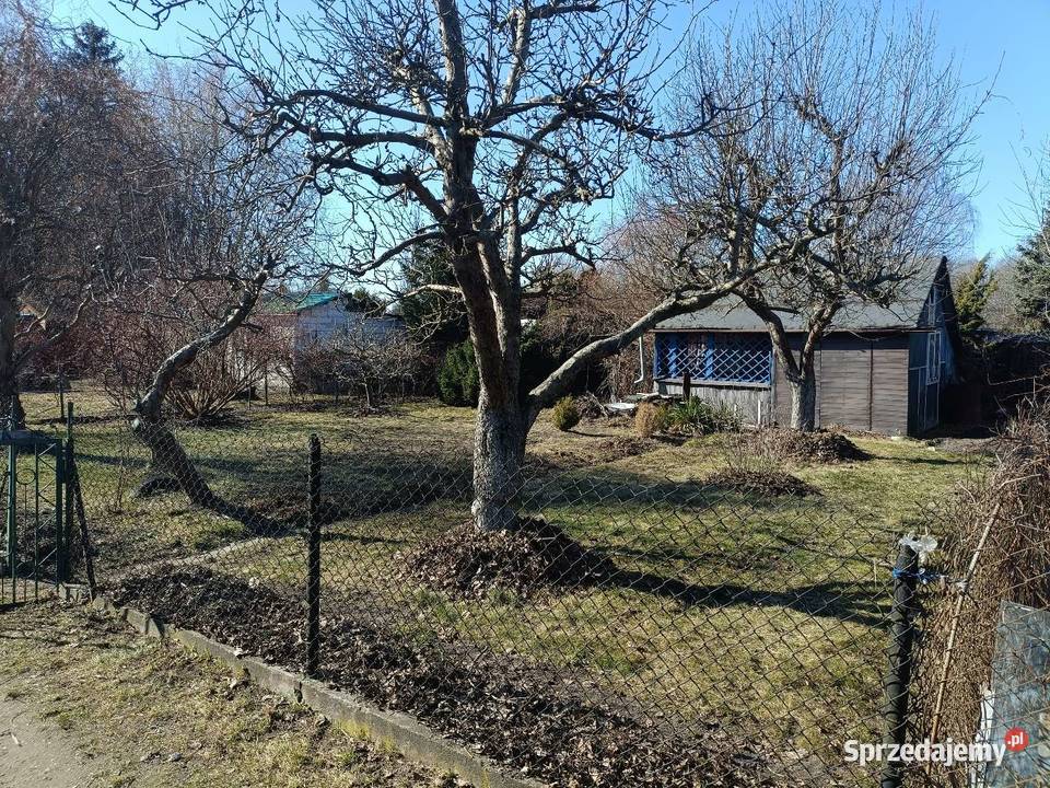 Działka ROD Paluch Miejski Warszawa rekreacyjna