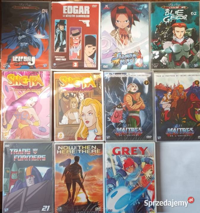11x DVD anime manga FRANCUSKIE FOLIA SheRa Heman Rzeszów sprzedam
