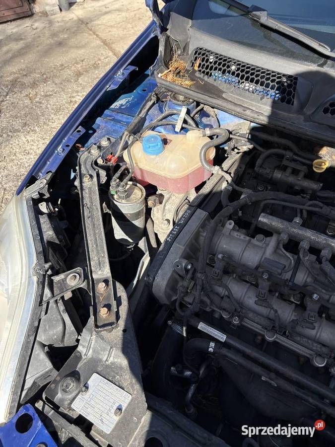 Fiat Bravo 19 jtd 2008 multijet Rzeszów