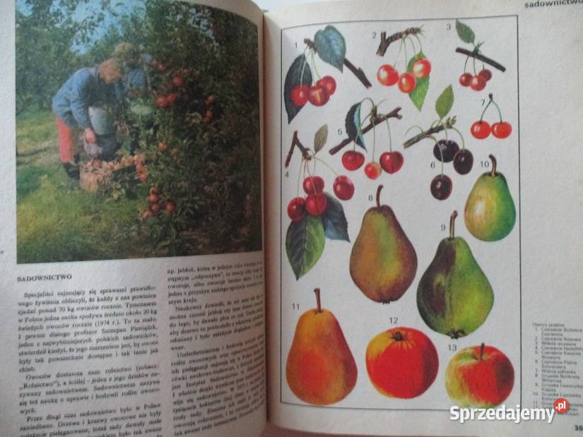 Encyklopedia dzieci Polska moja ojczyzna Łódź sprzedam