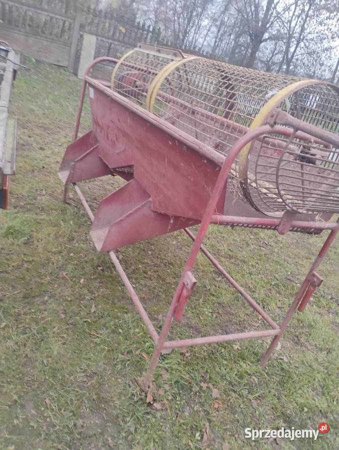 Sortownik do ziemniaków