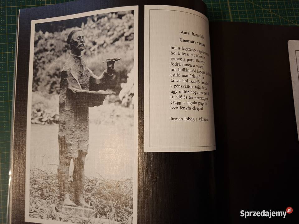 Csontvary muzeum Węgryj Węgierski ang niem Poradniki, albumy i reportaże Kraków