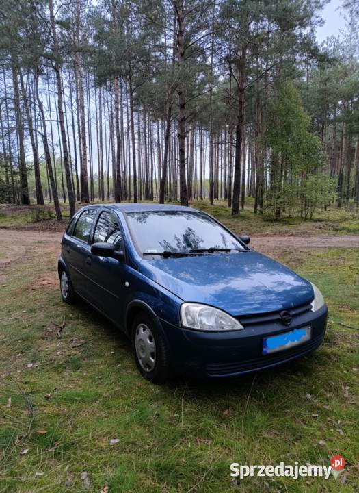 Opel Corsa C 2001r codziennie użytkowany kobietę Przasnysz sprzedam