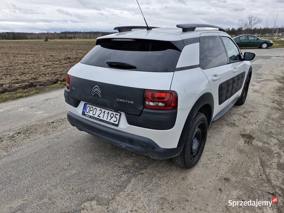 Citroen C4 Cactus Niemodlin