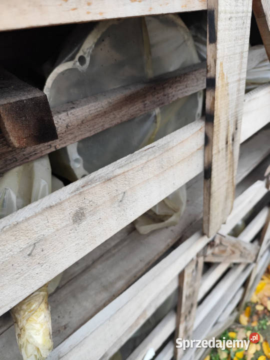 Skrzynia biegów 86 SZTUK NOWA HYUNDAI DYMOS Stalowa Wola sprzedam