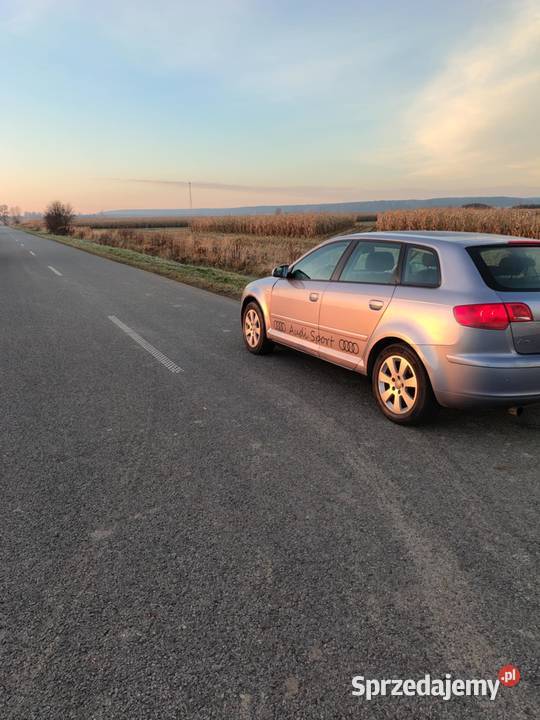 Audi A3 8p elektryczne lusterka Borucice