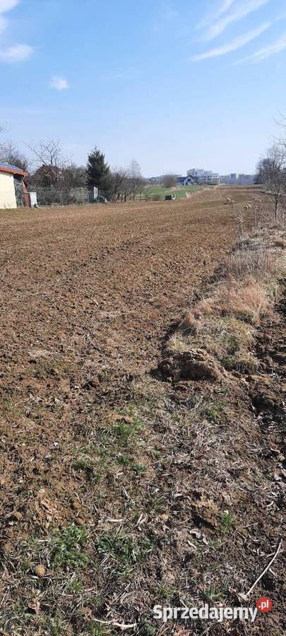 Syndyk sprzeda udział 124 w nieruchomości Al sprzedam