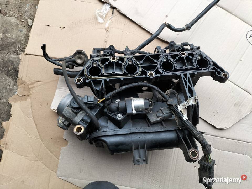 FIESTA MK5 MK6 FUSION MK1 13 14 KOLEKTOR SSĄCY Kamień-Kolonia