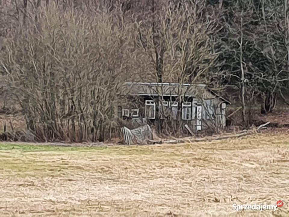 Działka 1677m wąwozie Rzeczyca Kolonia Kazimierz Sprzedaż Kazimierz Dolny