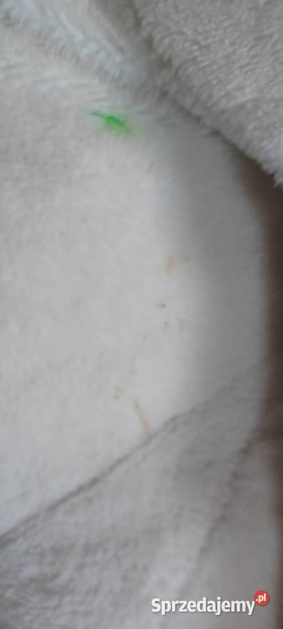 NIEDŻWIEDZIE POLARNE WIELKI CIĘŻKI MIĘKKI I 2 3m+ Maskotki