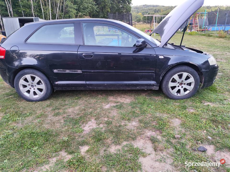 Audi a3 8p 19 silnik skrzynia inne Strawczyn