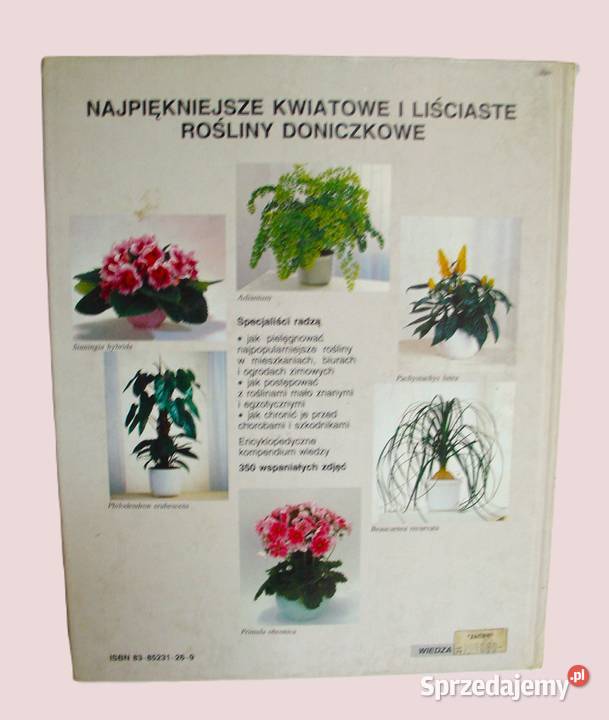 kwitną i owocują najpiękniejsze ROŚLINY łódzkie
