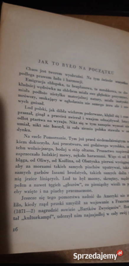 AchTe Chamy w Ameryce Gąsiorowpierwodruk z1935r Iwno