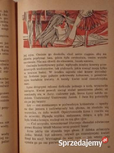 Bajka o żelaznym wilku WSieroszewski bajki łódzkie Łódź