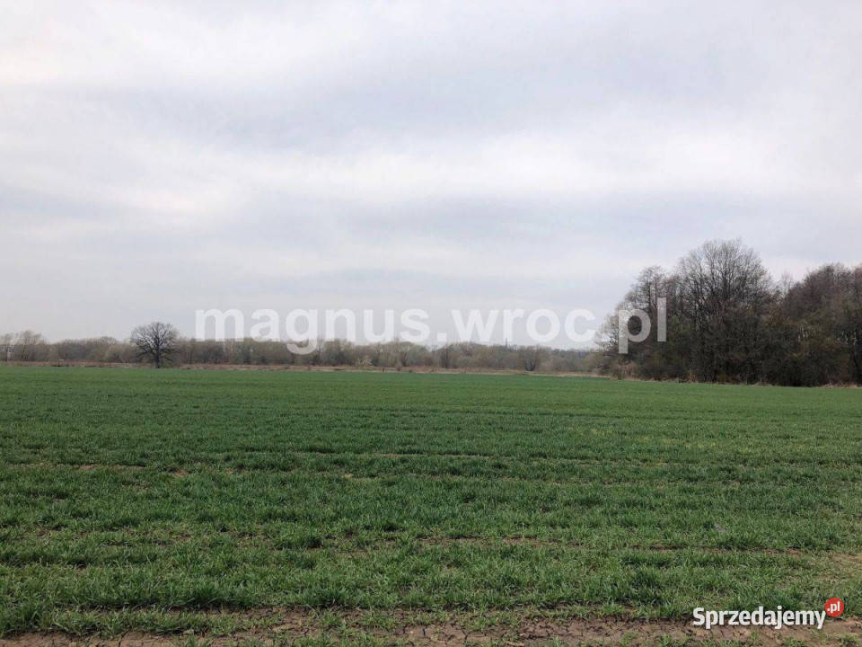Na sprzedaż piękna działka rolna w 0m Świdnica