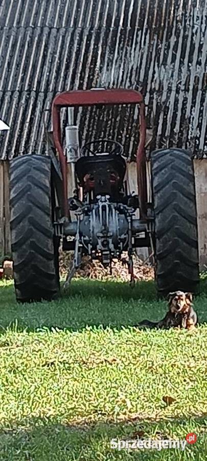 Massey Ferguson 65 Łuszczacz