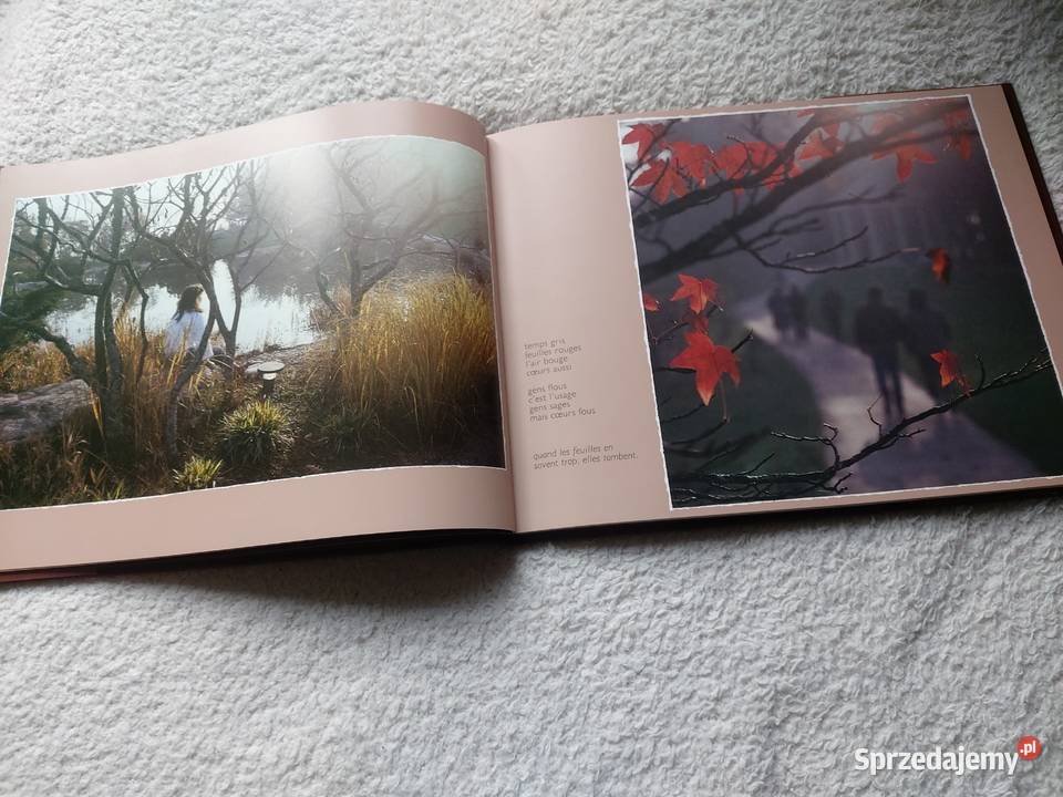 Książka LHorizon Retrouve Emile Gardaz Philippe