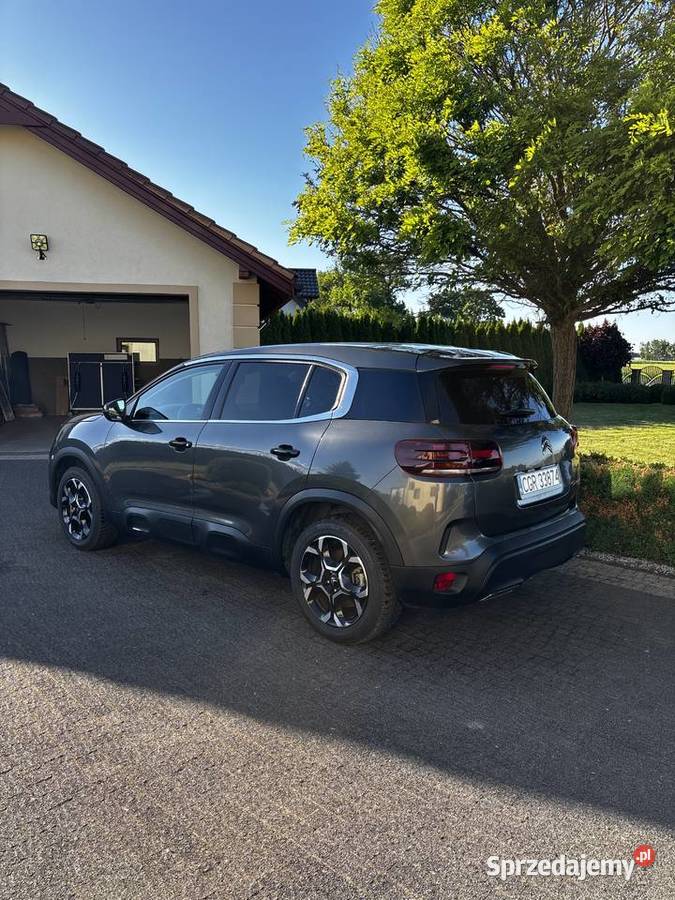 Citroen C5 Aircross 15 BlueHDI 131 Automat 2025 Rogóźno