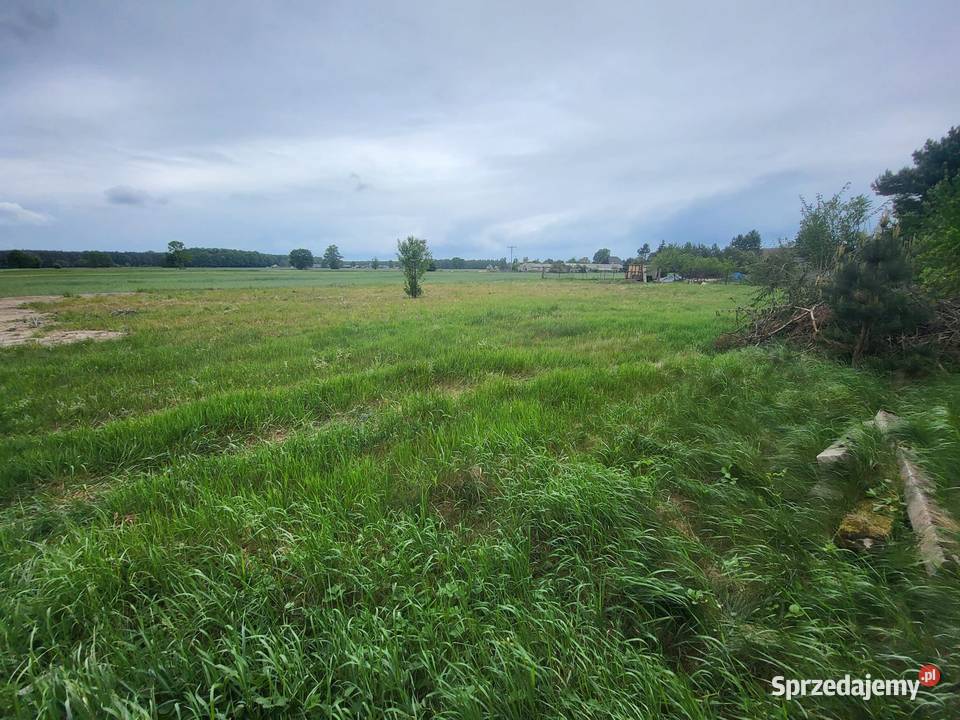 Sprzedam dom jednorodzinny 3270m2 Biadacz sprzedam