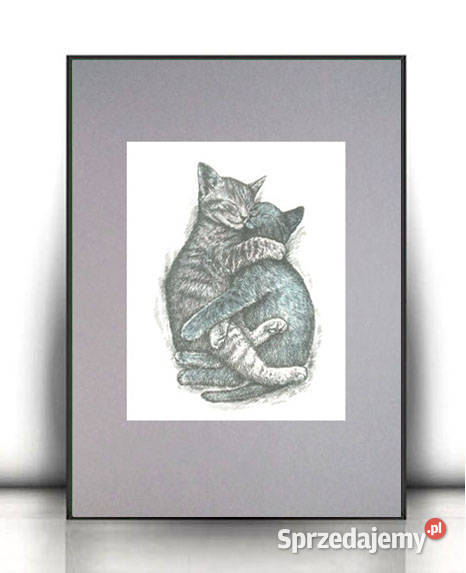 koty plakat a4 plakat z kotami dwa kotki obrazek Rzeszów