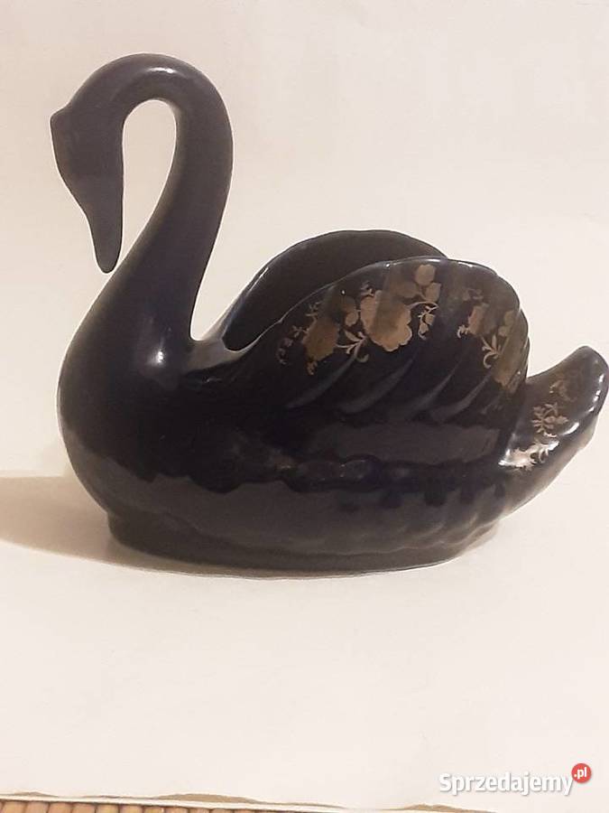 Łabądź dekoracyjny Szczecinek