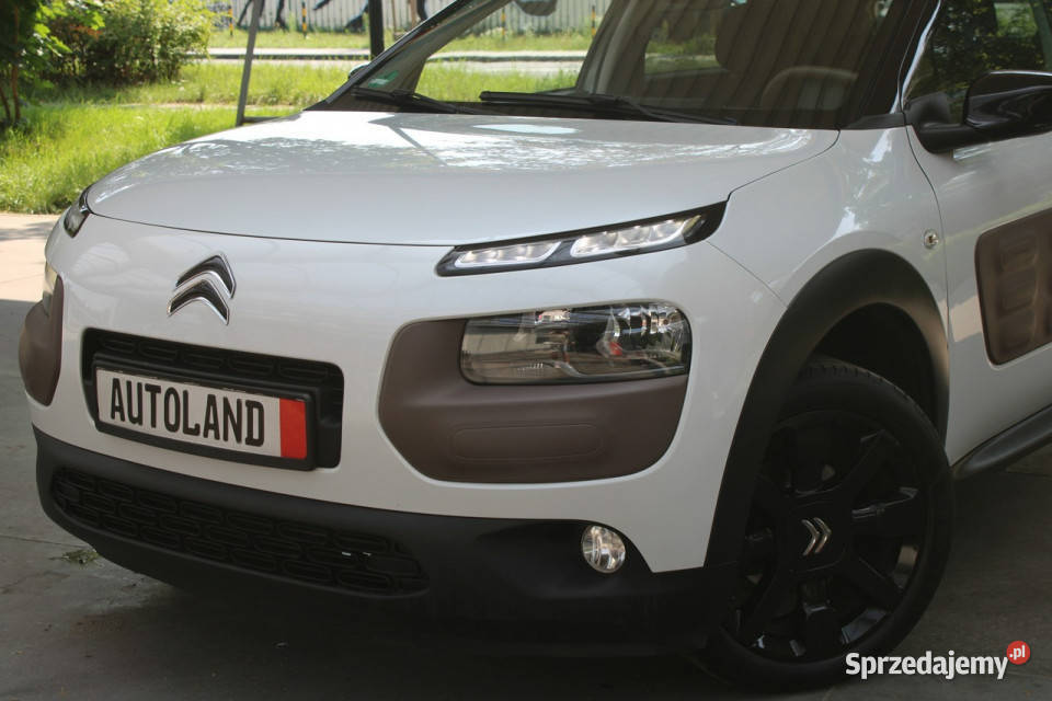 Citroen C4 Cactus OrglakierBogate tempomat Gliwice