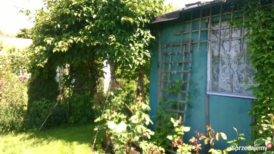 ogród działkowy ROD Szczecin Wyspa Pucka