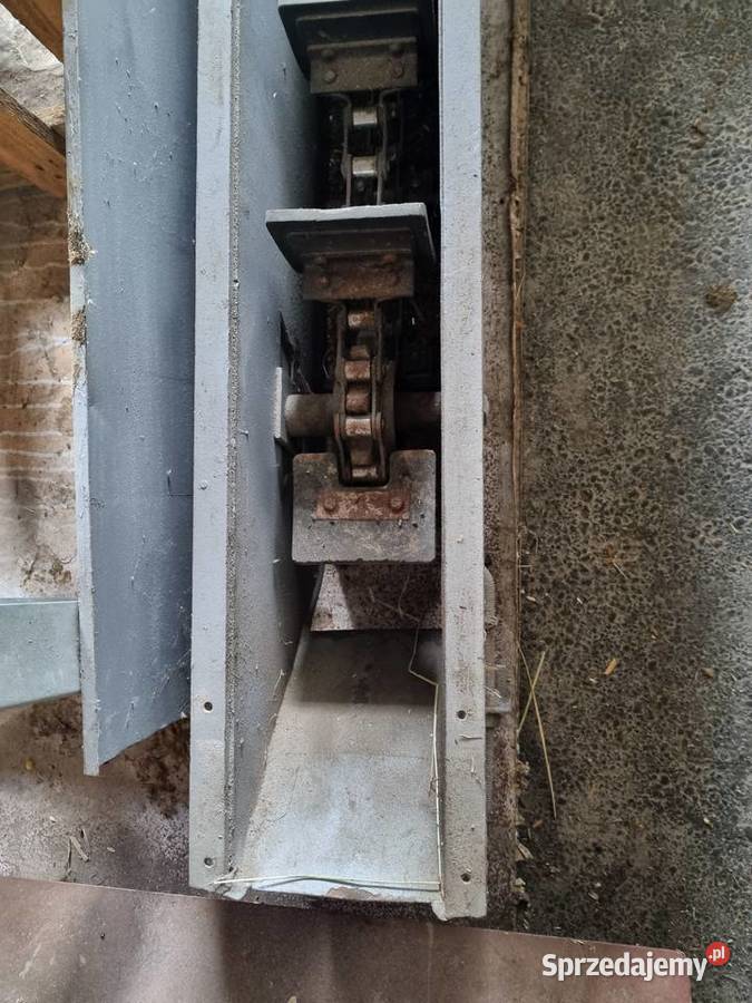 Przenośnik do zboża