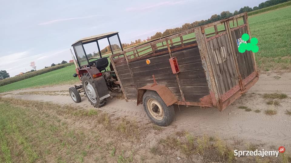 świniorka przyczepka Rolnictwo