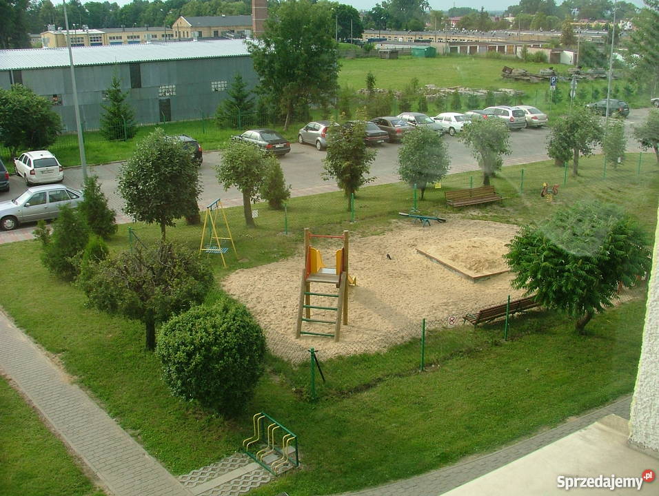 sprzedam zamienię papa