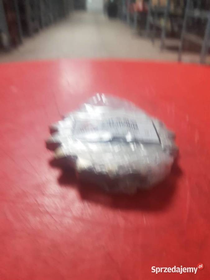 0934960900 Koło łańcuchowe 15Z R12 prasa Lely Sulechów