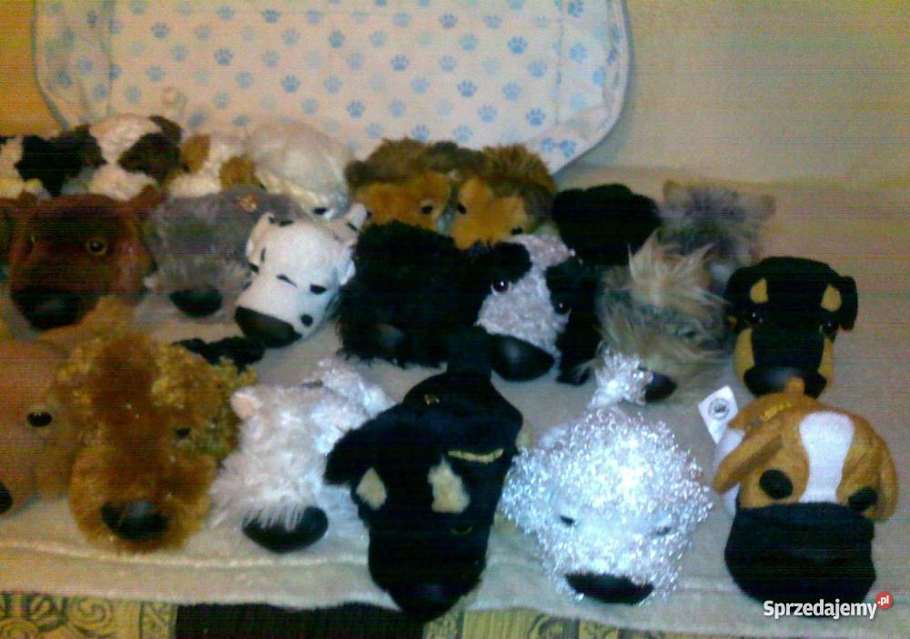 kolekcja THE DOG sprzedam