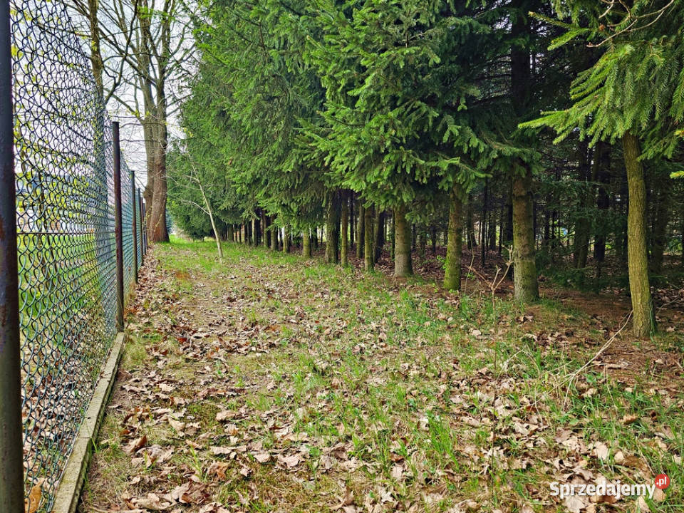 Dąbrowa dom gotowy do zamieszkania jezior mieszkalny