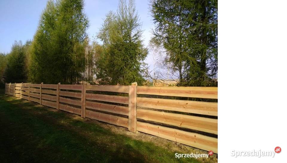 RANCHO DESKI Modrzew Daglezja Jelenia Góra