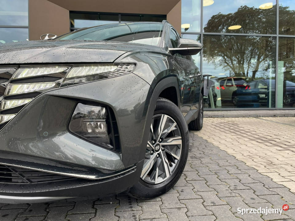 Hyundai Tucson 16TGDI HEV 230 Executive łódzkie Piotrków Trybunalski