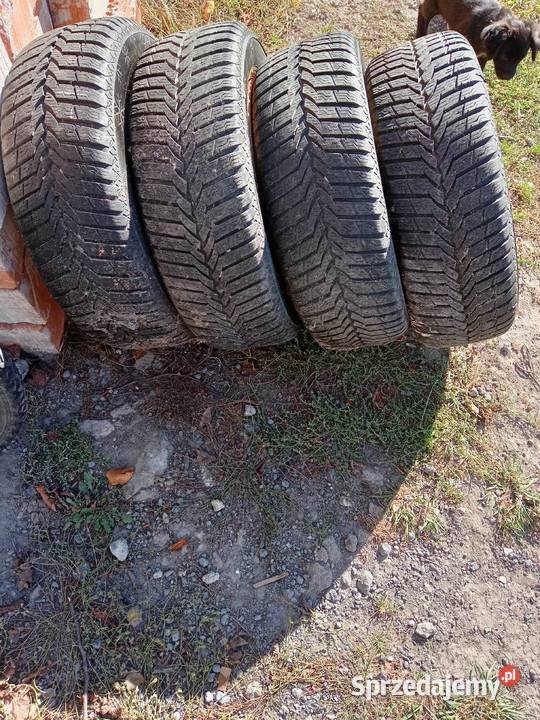 Koła Ford Focus Escort opony zimowe cztery Działyń