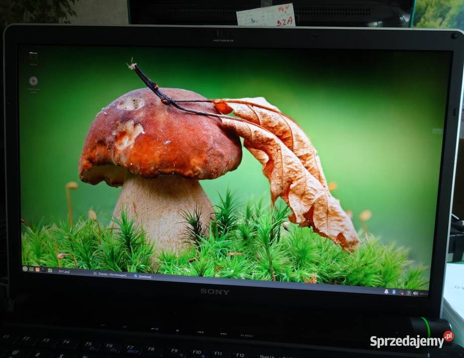 Matryca Samsung LTN184HT01 FullHD 1920 x 1080 do zachodniopomorskie Szczecin