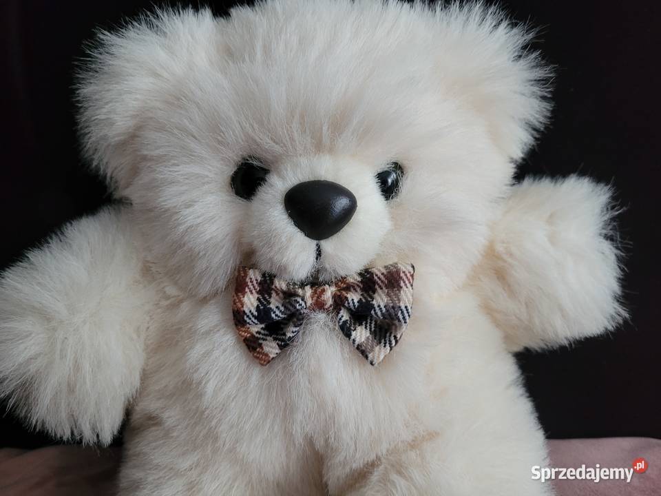 Sprzedam nowego misia Wrocław