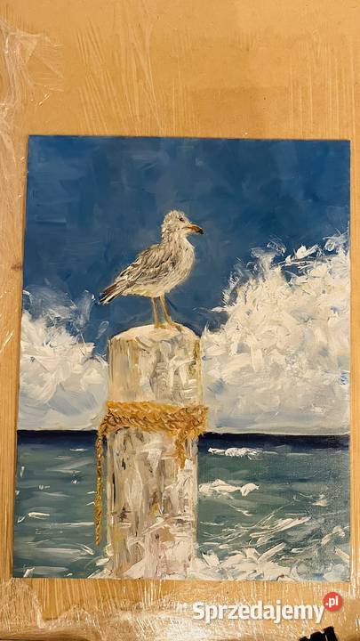 Mewa na krawędzi morskiego wiatru obraz olejny Zielona Góra