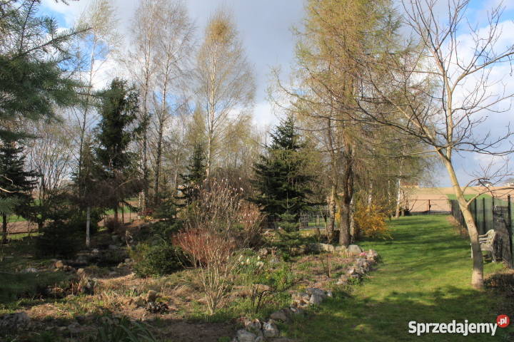 SPRZEDAM PIĘKNY DOM W MIECHOWIE ZARAZ wolnostojący Miechów