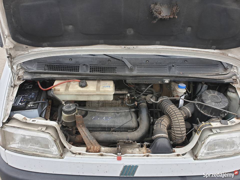 Fiat Ducato Panorama 9 osobowy Ducato Turobin