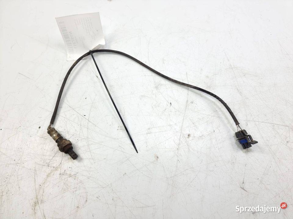 SONDA CHEVROLET HHR 12578576 Lipno sprzedam