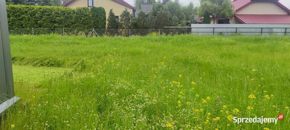 Koszenie nieużytków czyszczenie działek usługi Pruszków