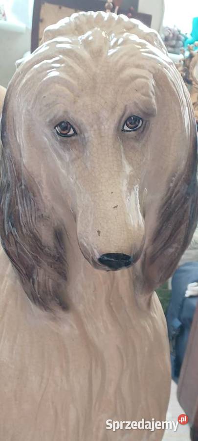 W POZNANIU ZARAZ POWOJENNY CHART AFGANSKI 24 Figurki i rzeźby wielkopolskie Kiekrz