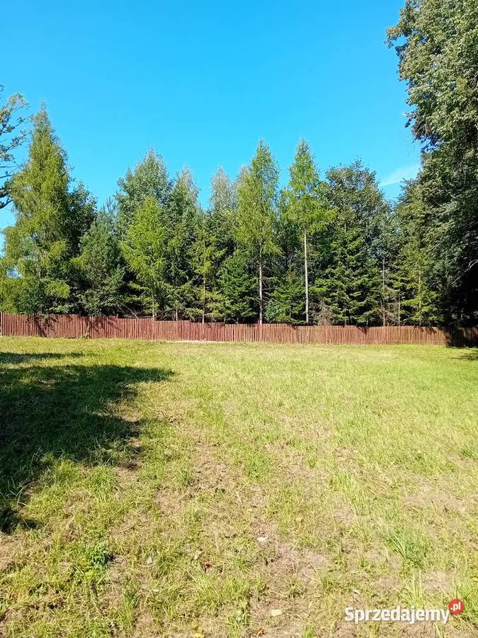 Wydzierżawię działki rekreacyjne Laskowice