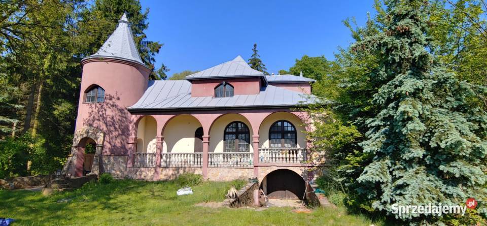 Prace Dekarskie Malowanie dachów Montaz papy Łódź